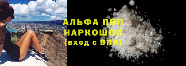 СК Заводоуковск