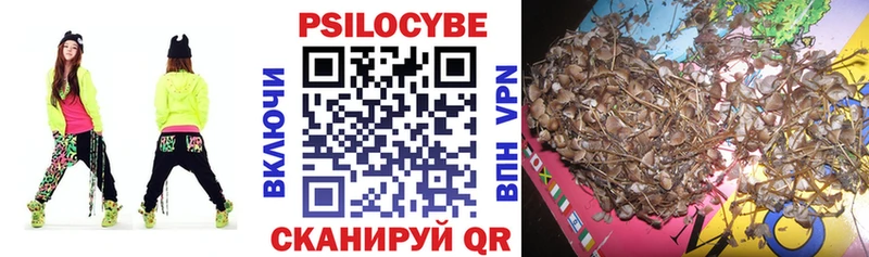 Псилоцибиновые грибы Cubensis  Купить  Истра 